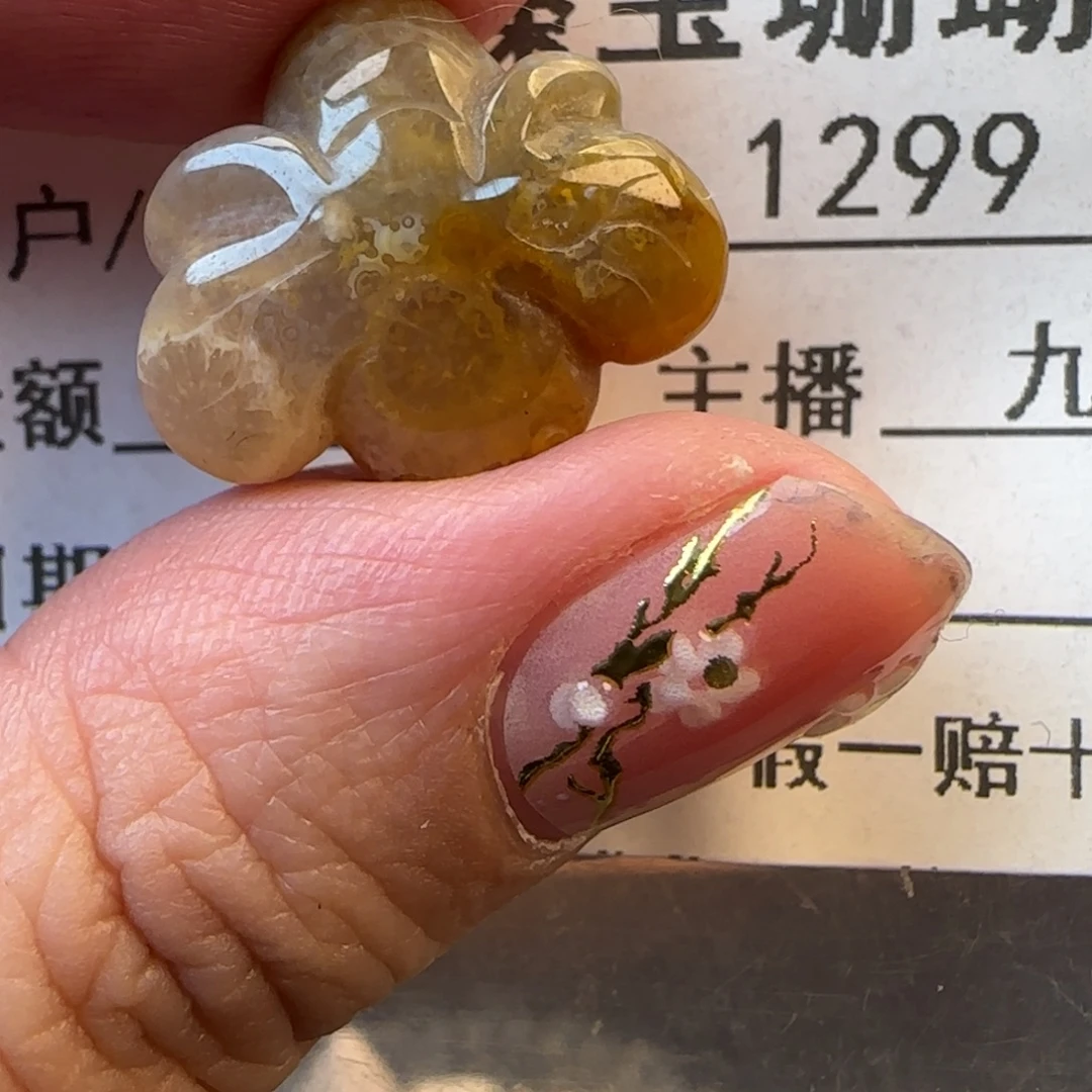硅化珊瑚（珊瑚玉）未镶嵌颈饰