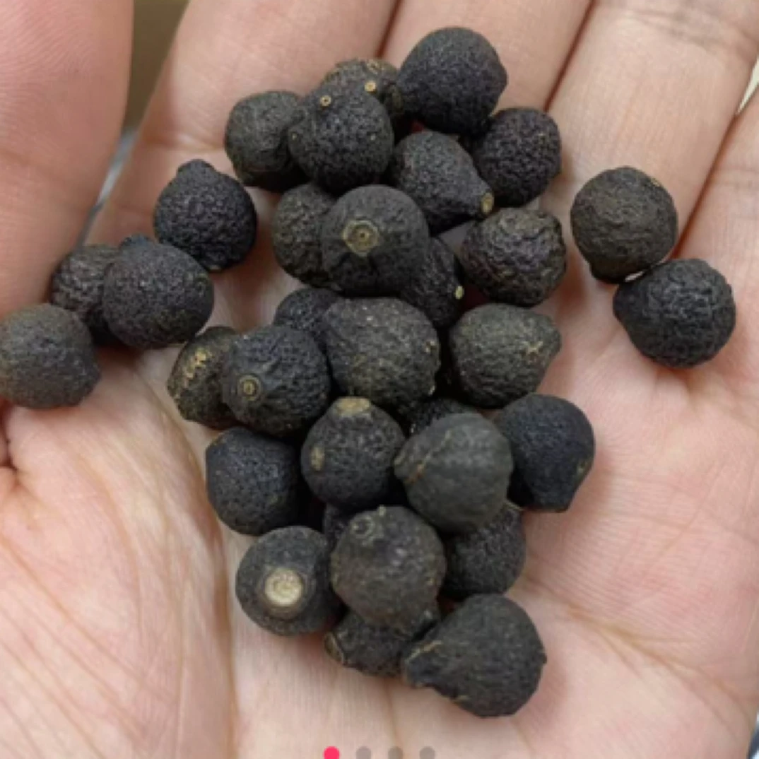 【柑香！小柑胎】2018年新会西甲圈枝小柑胎