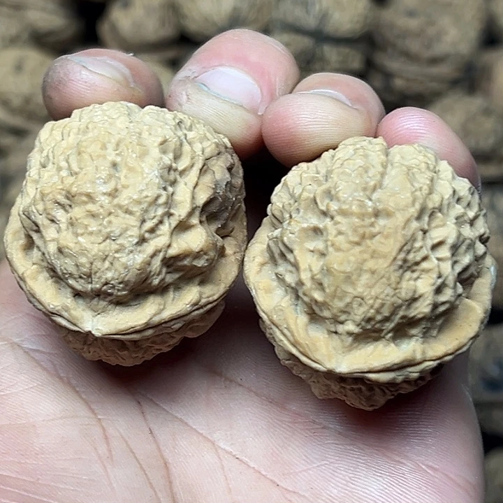 文玩核桃把件32号蟾租39尺