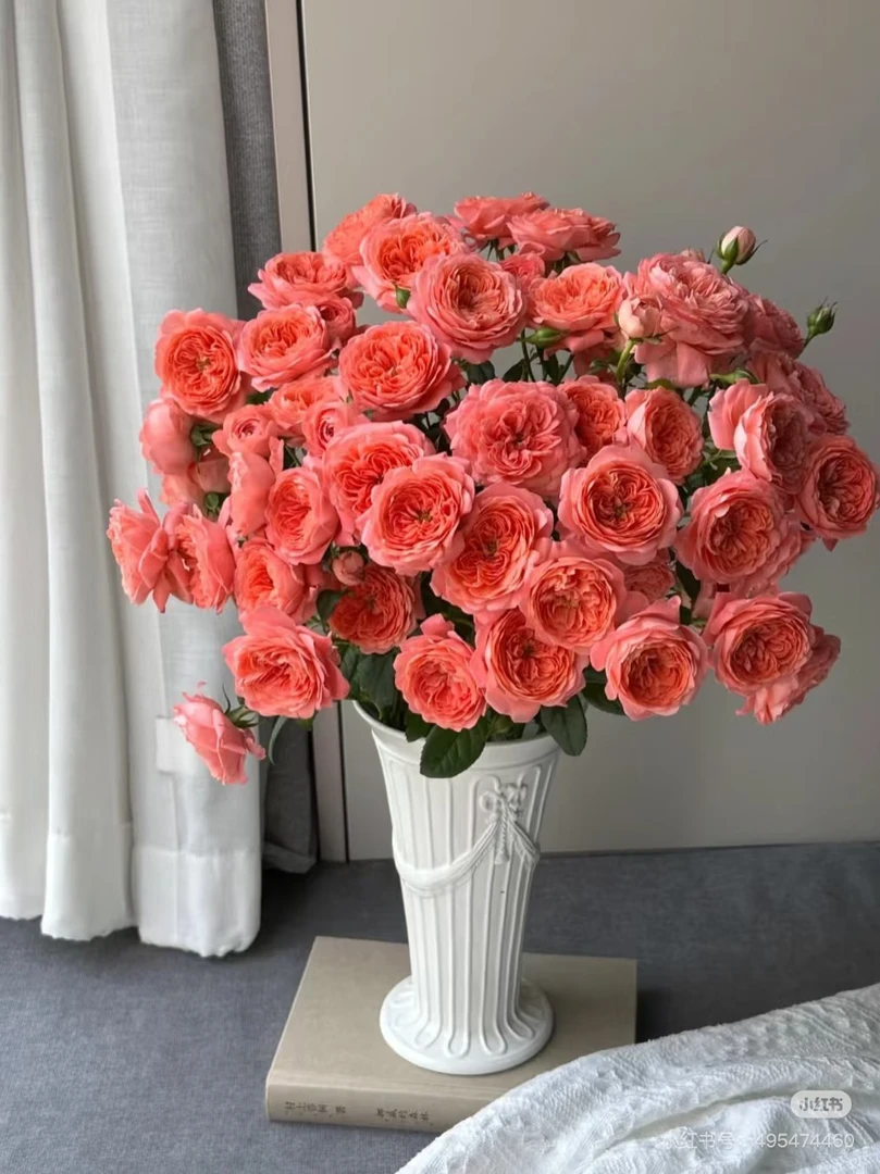 花欢喜杏色果汁多头玫瑰，我要买我不售后