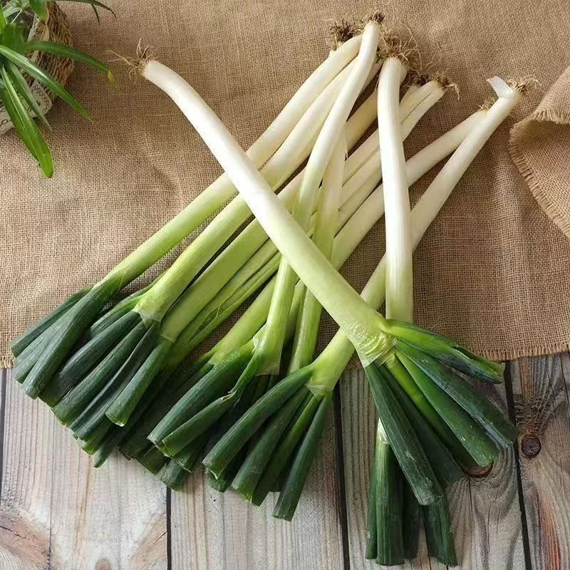 正宗老品自种铁杆大葱人工挑选长白现拔现发新鲜