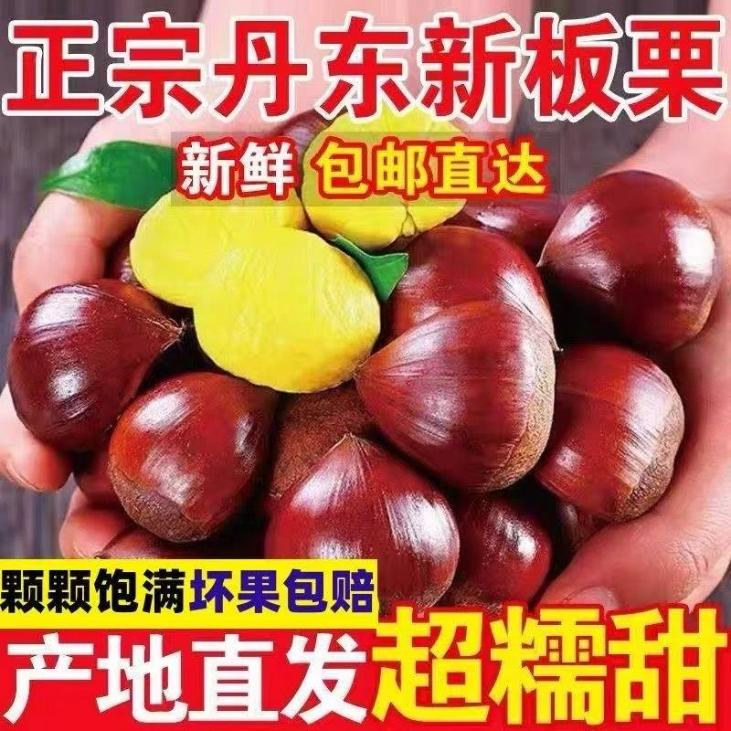 新鲜现摘甜糯板栗高山老树皮薄栗香美味零食