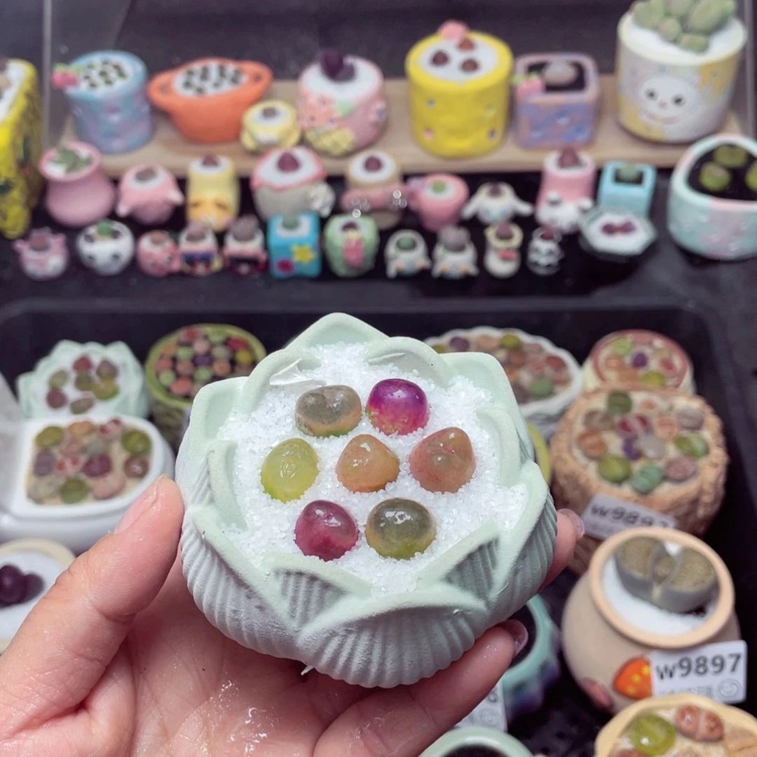 w9907 带盆土发货-零下地区拍保温箱