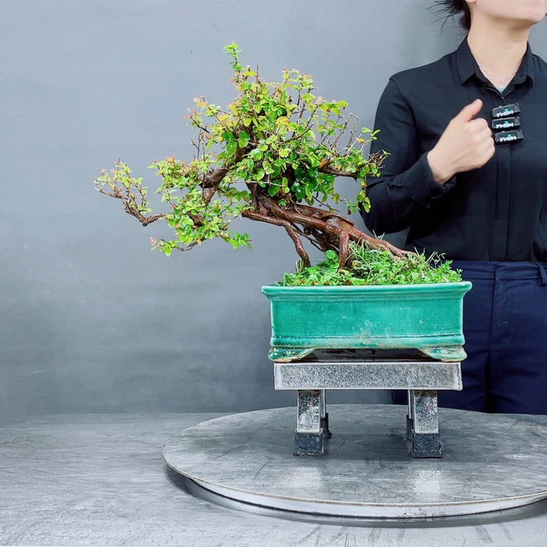 无铅玻璃岭南文化艺术学院