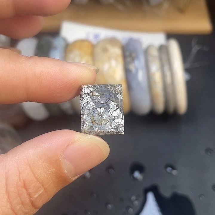 硅化珊瑚（珊瑚玉）未镶嵌手镯