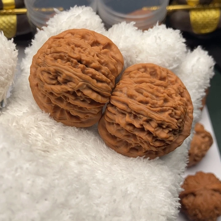 大叶紫檀（黑酸枝木类）