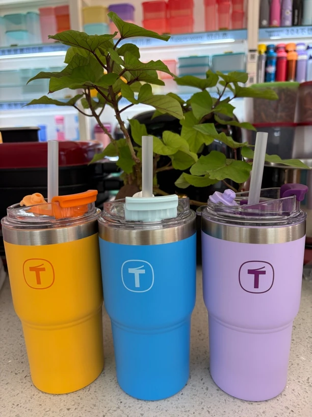 特百惠大T网红直饮吸饮杯660ml➕送相伴晶莹小杯1个水杯保温杯杯子