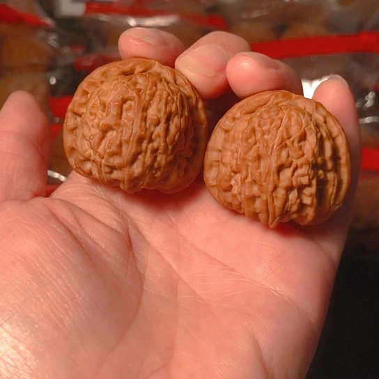 文玩核桃把件白狮子35