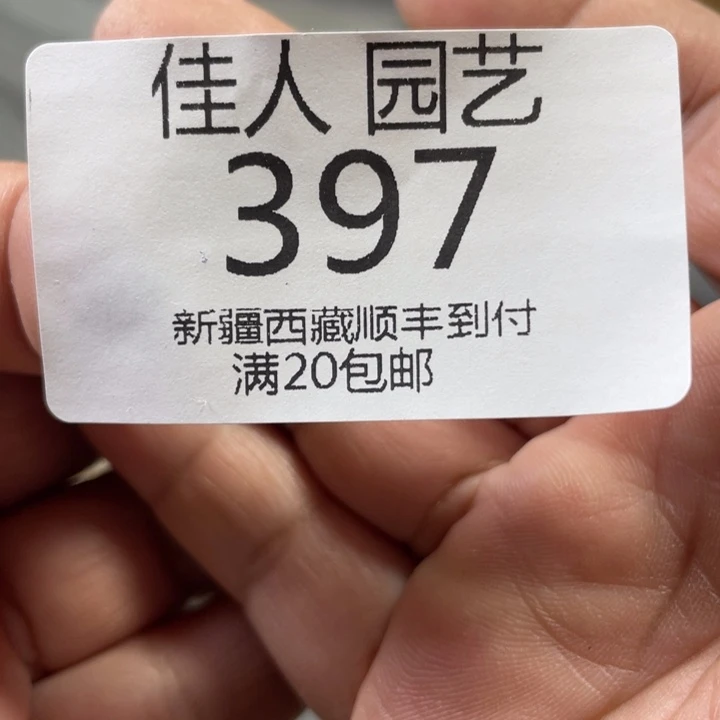 f*哦绿色蓝色绿色蓝色里397