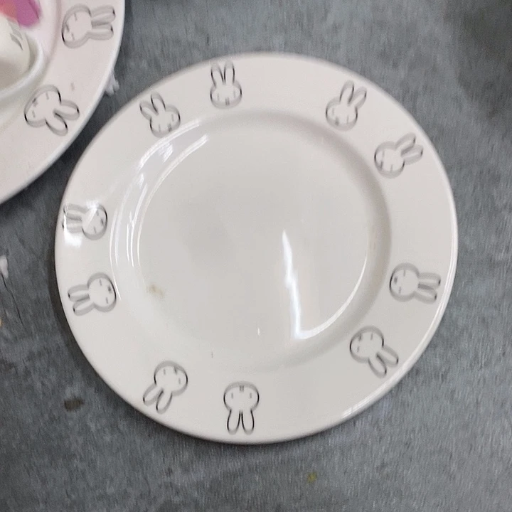 双饮款陶瓷盘子一个