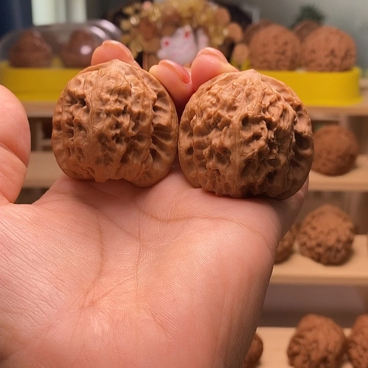 核桃42尺寸的野狼