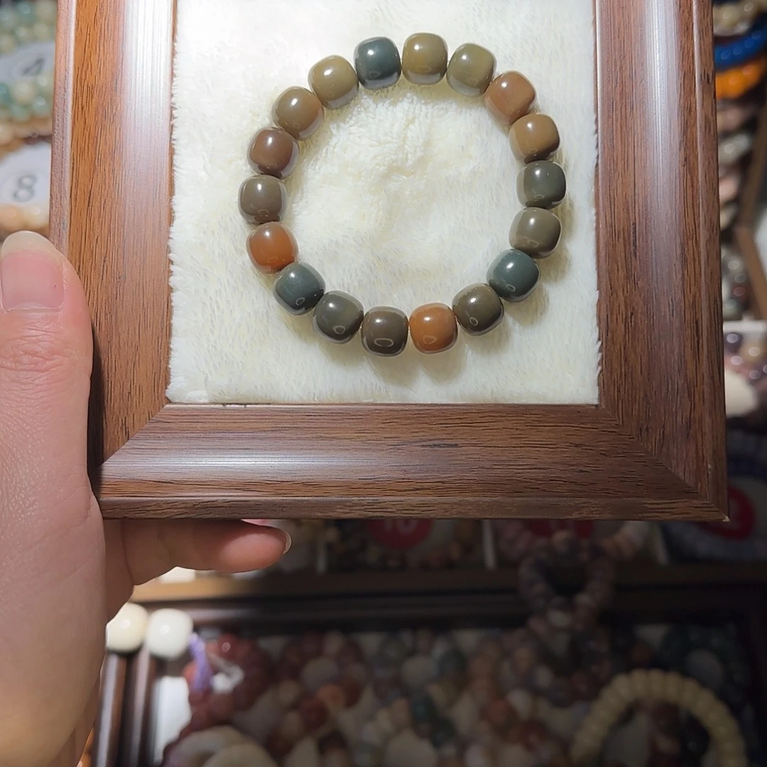 手串菩提根/象牙果福利