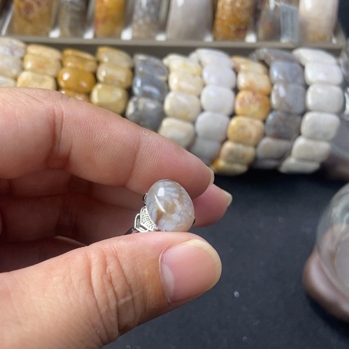 未镶嵌手链硅化珊瑚（珊瑚玉）