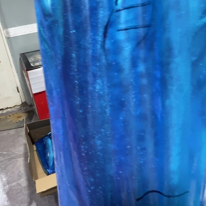 艳***天中国大陆渤海湾野生燕鲅鱼11号