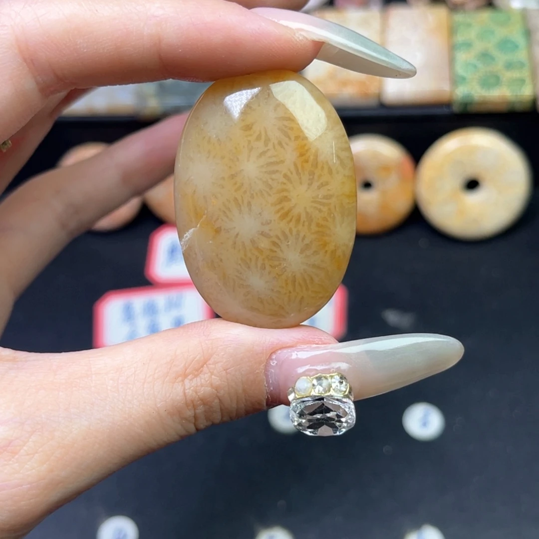硅化珊瑚（珊瑚玉）吊坠未镶嵌