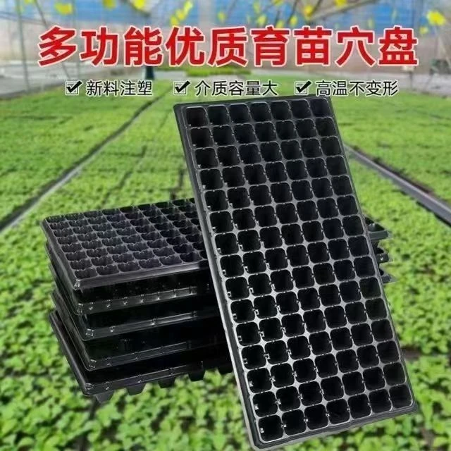 超厚玉米高粱加厚草莓盘育苗盘穴盘育苗盆育秧盘辣椒种植盘育苗