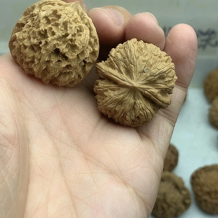 吊坠文玩核桃32的137狮子头