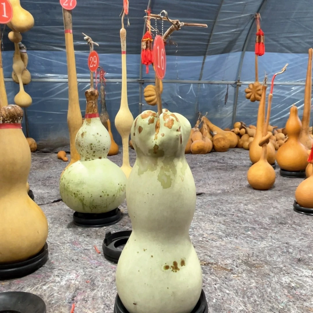 等***！大叶紫檀（黑酸枝木类）