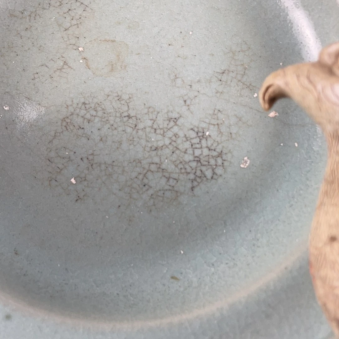 福福利多多多多多多