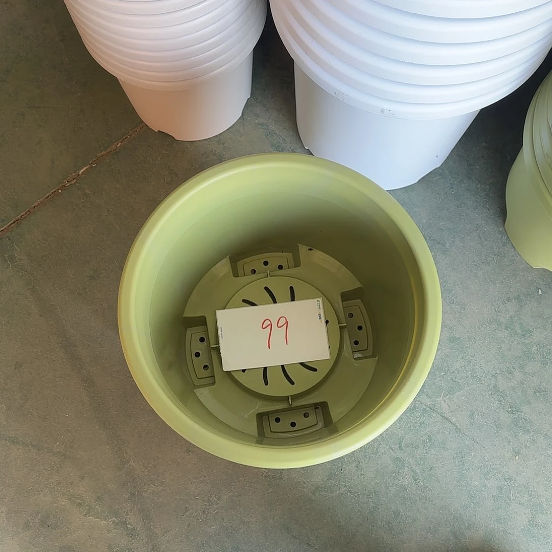 树脂编号99球根4号无托5个