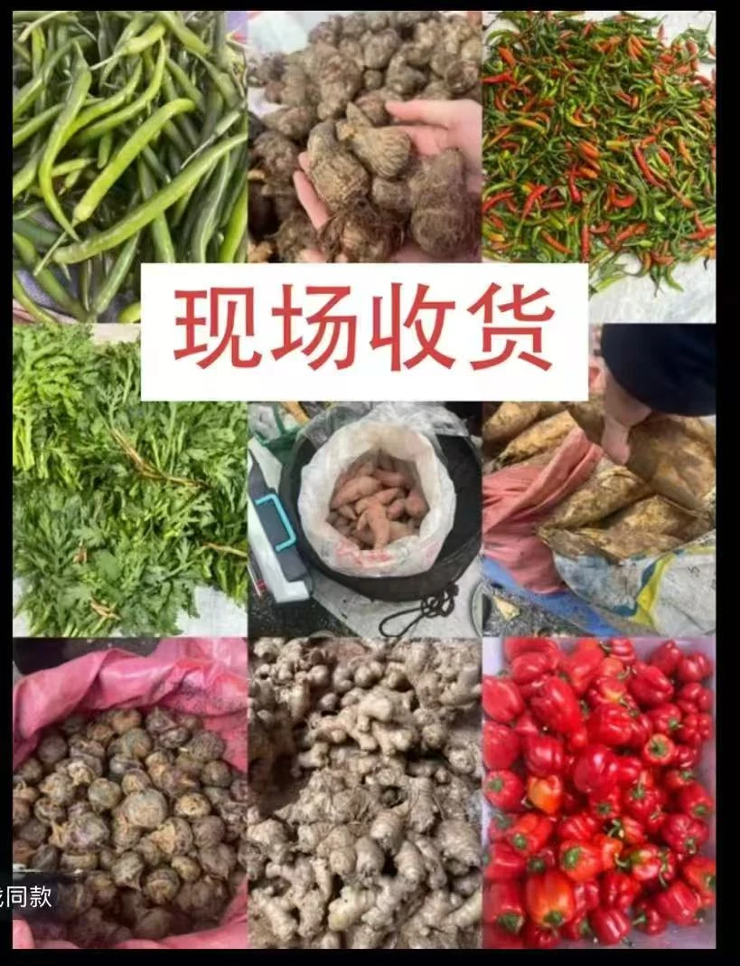 【乡村好货】现场收货综合链接 等散装食品代卖（包邮）