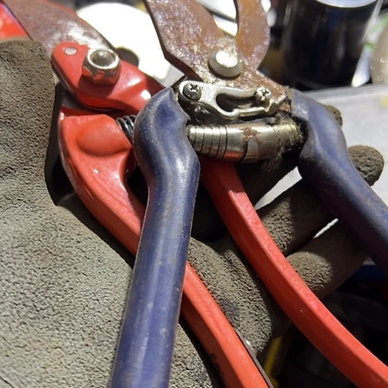 楠***7大哥看好下单闪电购