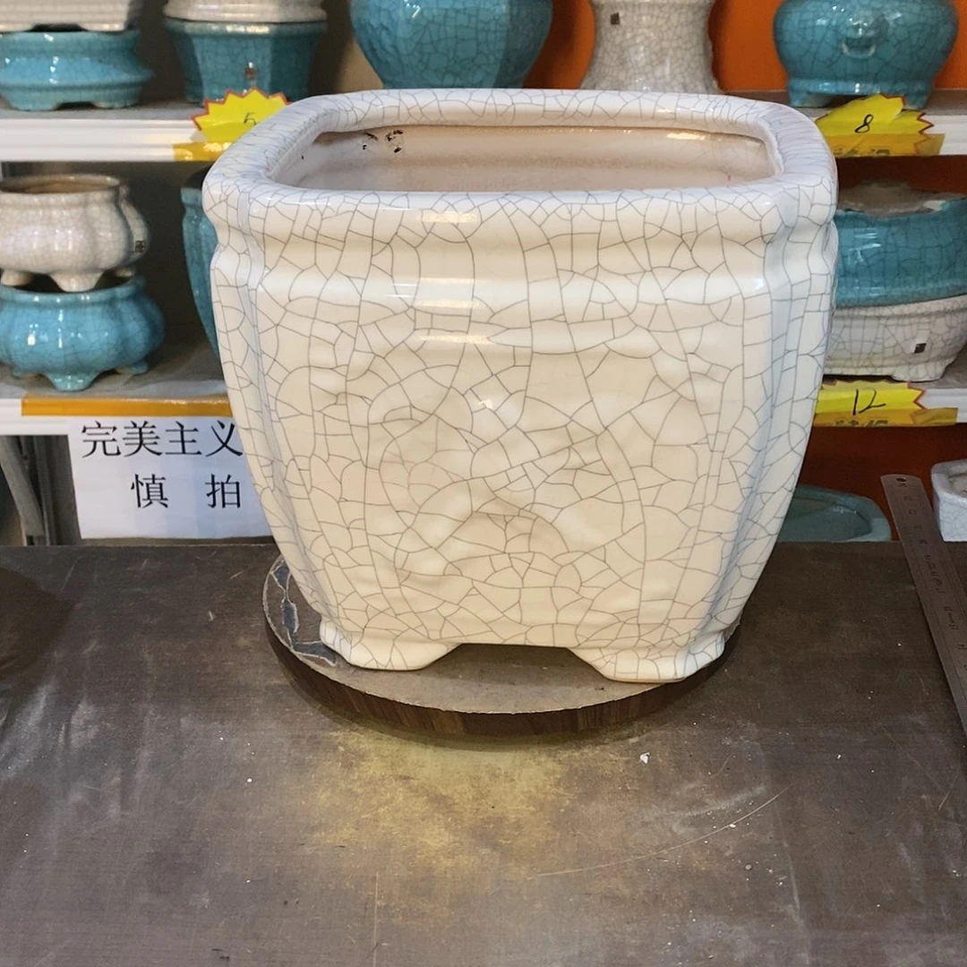 抖*爸花盆的颜色是白色