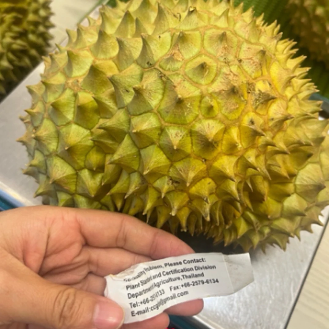 泰国空运金枕树熟榴莲现开果肉1斤（有售后）