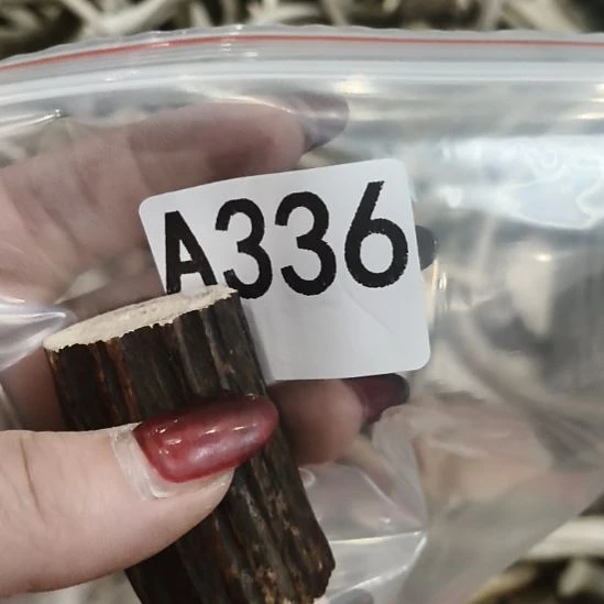 健***胡鹿角鹿角鹿角鹿角鹿角