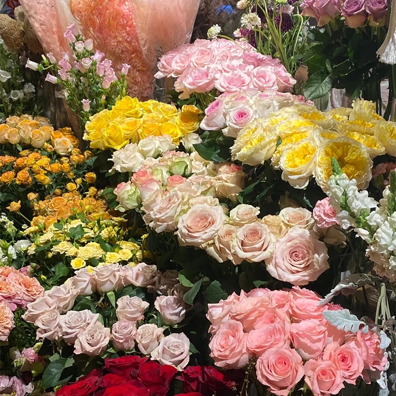 【艾莎玫瑰+粉玫瑰+香槟玫瑰+多头玫瑰+配草】 云南基地直发鲜花