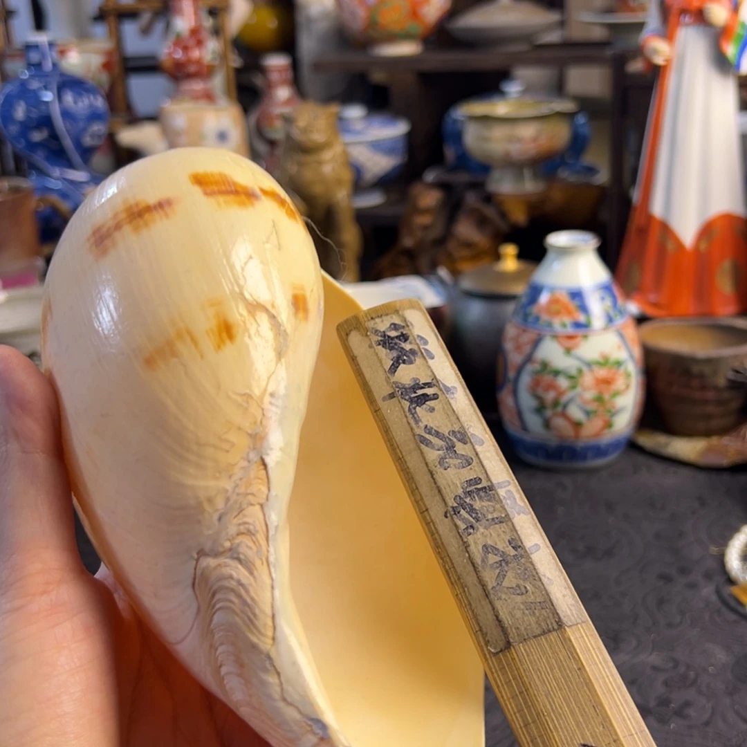 陶瓷艺术的发展和