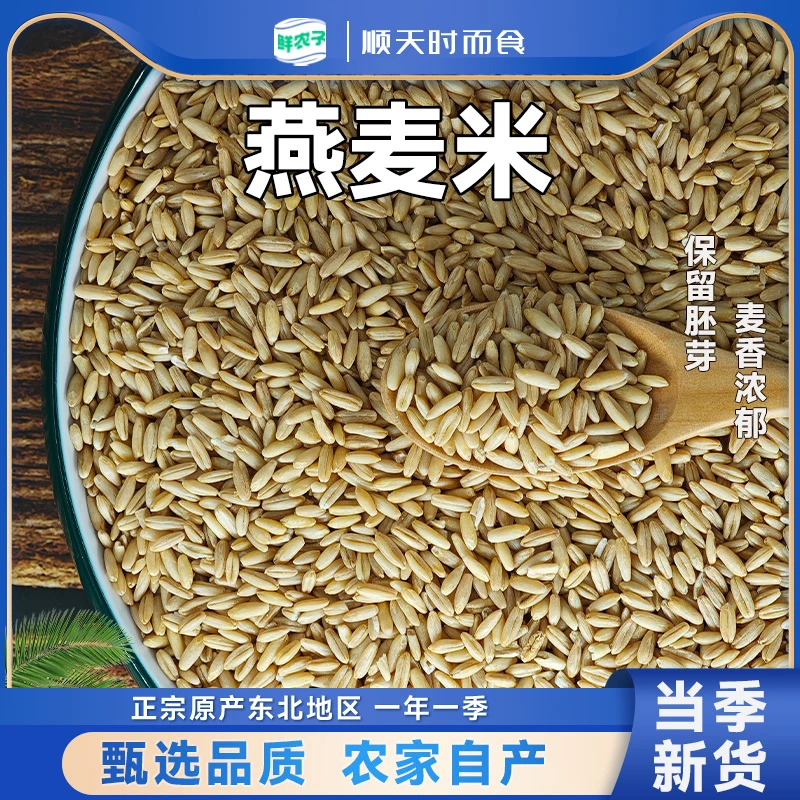 东北燕麦米农家自产五谷杂粮健康粗粮颗粒饱满新米