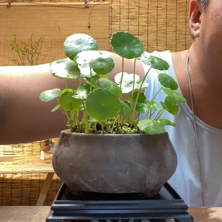 彩*一物一拍所见即所得303