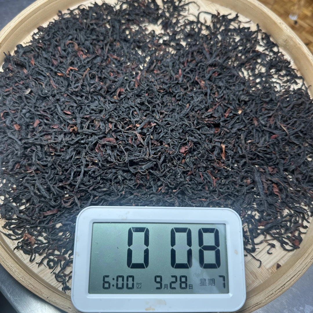 【550号】2025年勐库大雪山野生红（9月27号）C