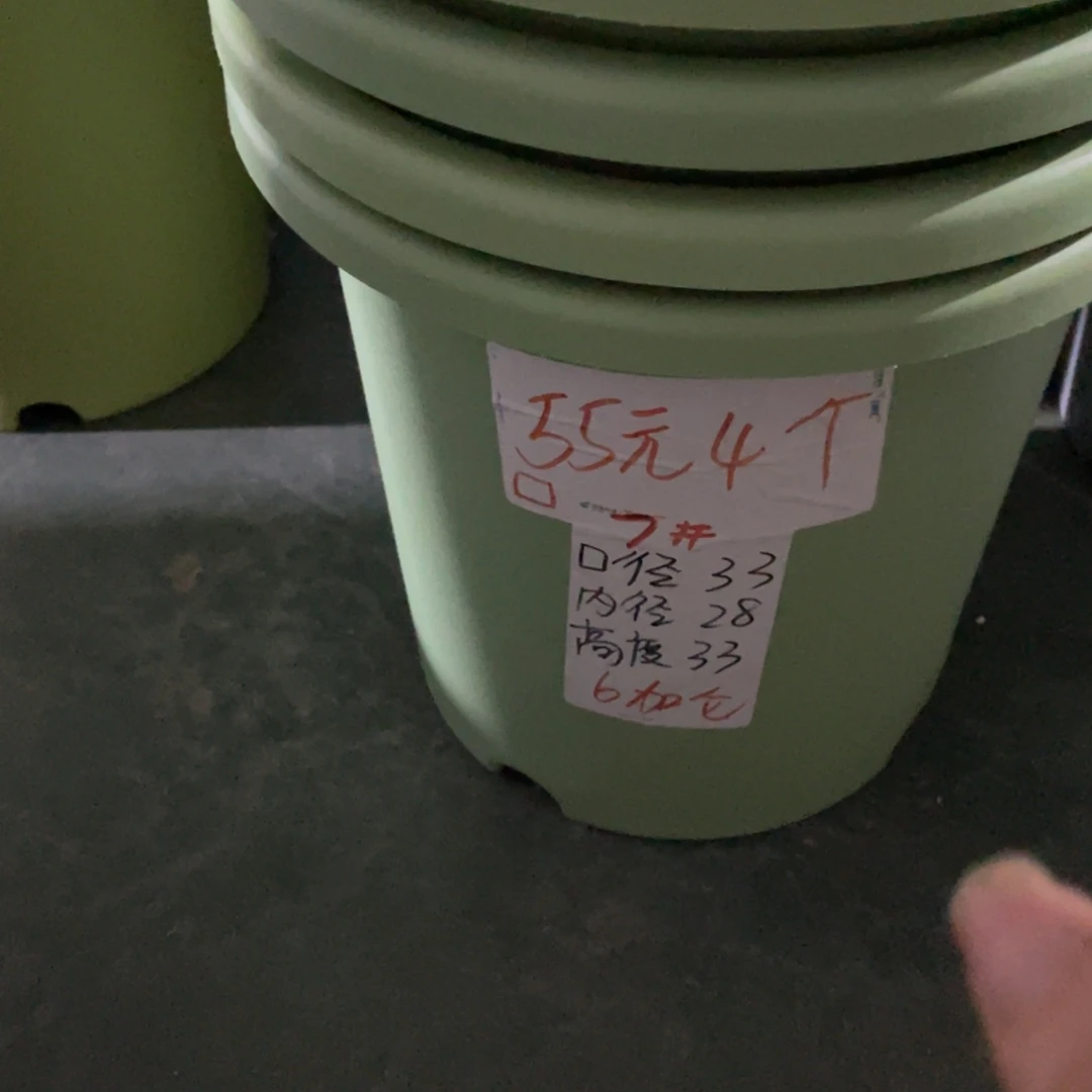 四季微瑕7号浅绿无拖6个