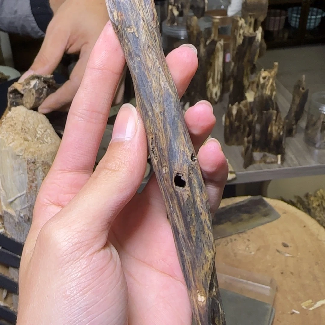 线香紫奇虫漏原料发一份