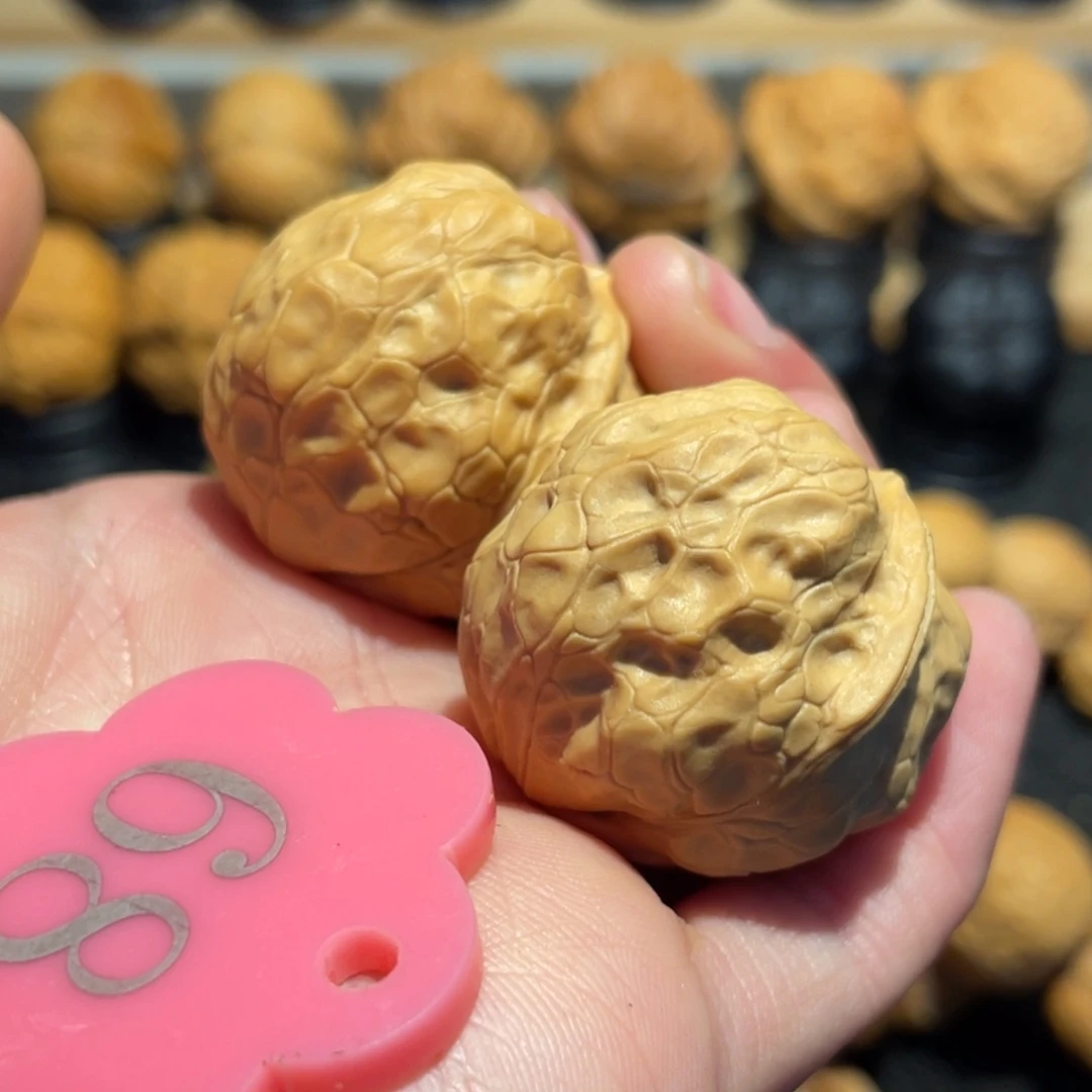 玉面金蟾微彩35。