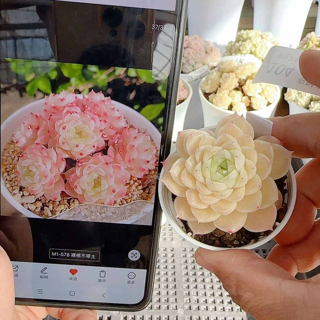 1206-104（m1-578）优选