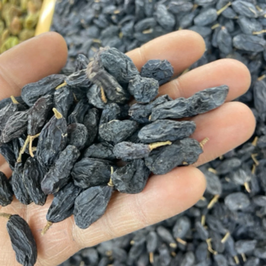 正宗新疆黑加仑干 很好吃口感好