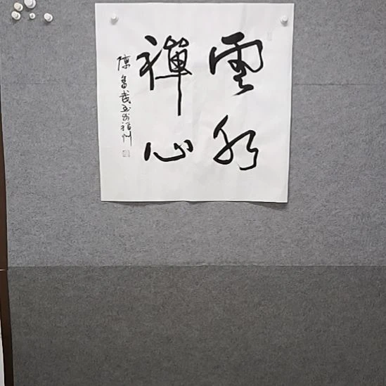 书法云水禅心四肢都放上车了啊，那么