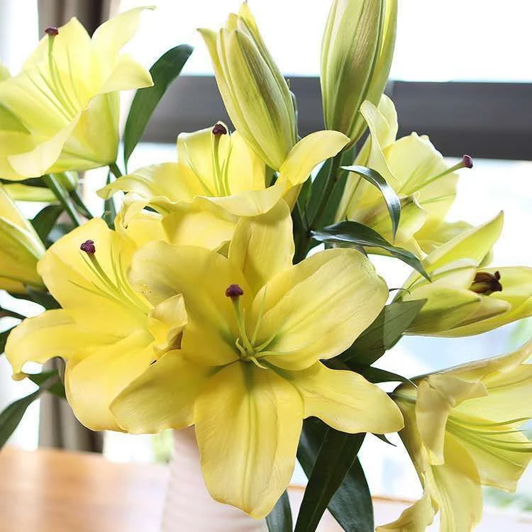 【黄色香水百合】皇后百合  全场1单发中通 两单升级快递发京东