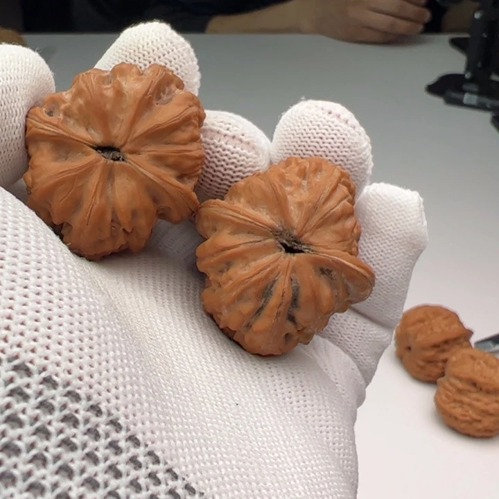 文玩核桃把件风*飞赤龙鸡心76