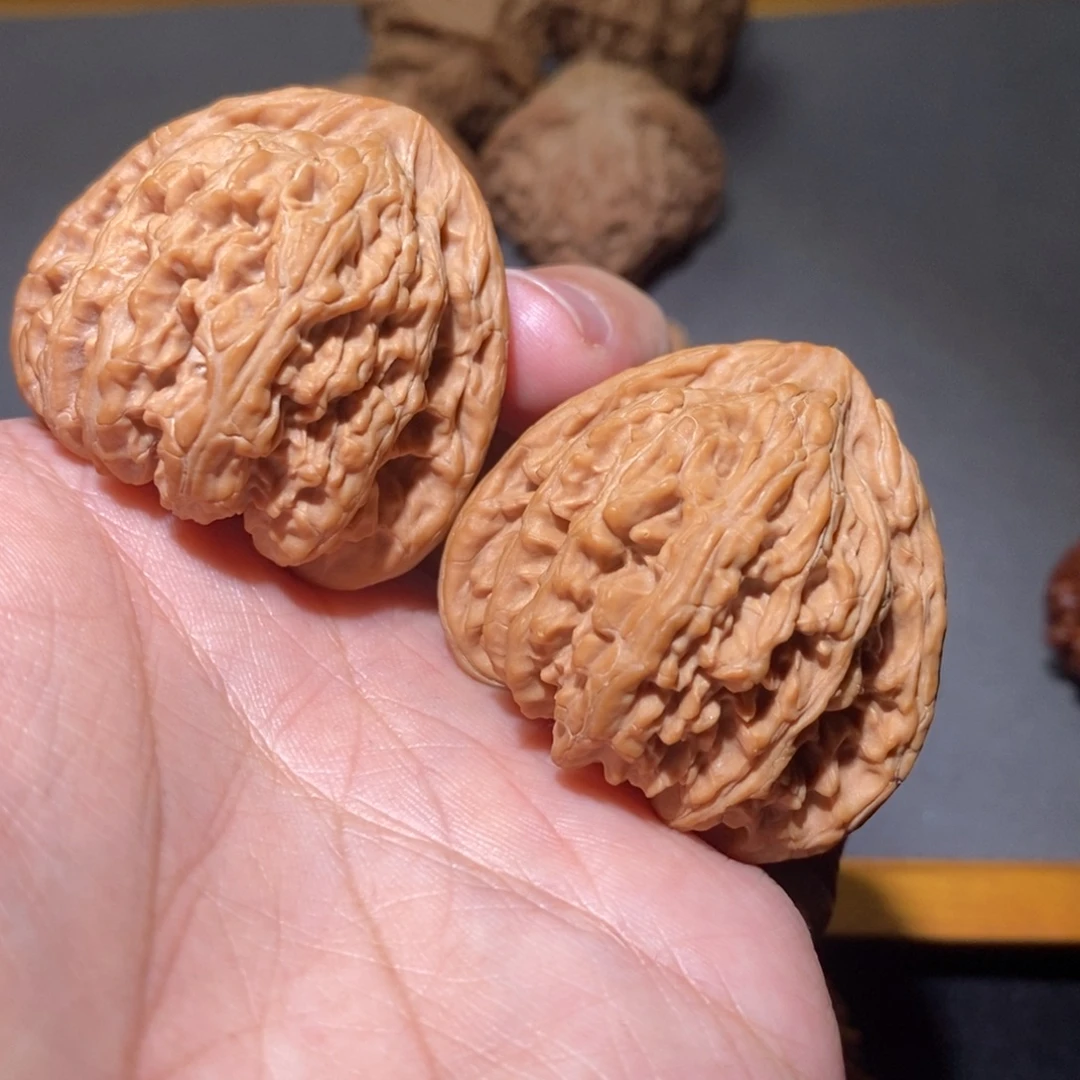 木质41.5山西密文全品