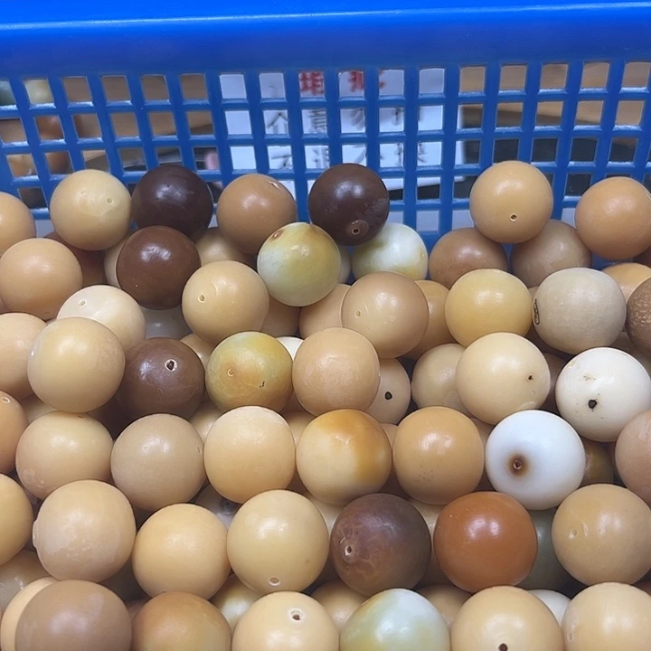 菩提根/象牙果吊坠