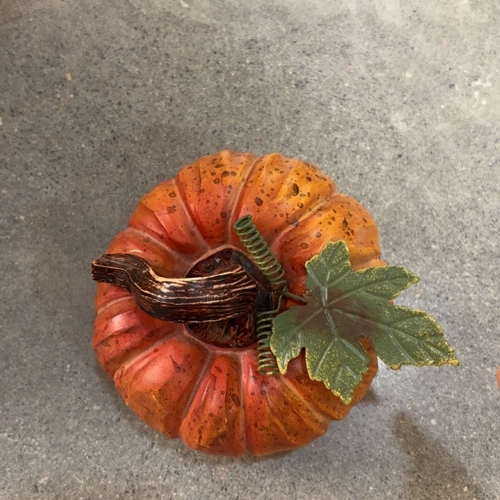 盖碗样品样品样品叶子南瓜