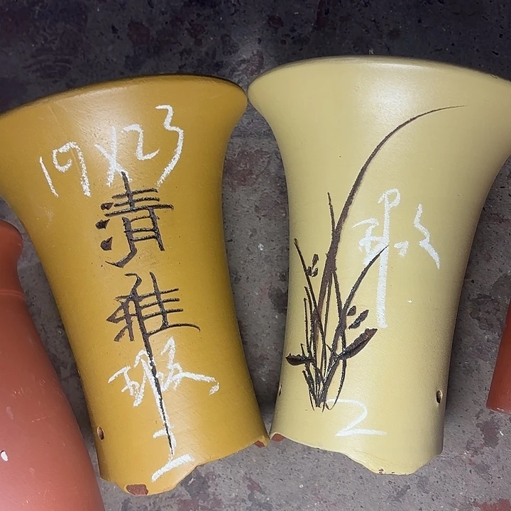 周深周深周深周深周深