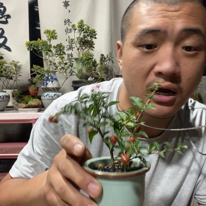无花朵退款拉黑拉黑36