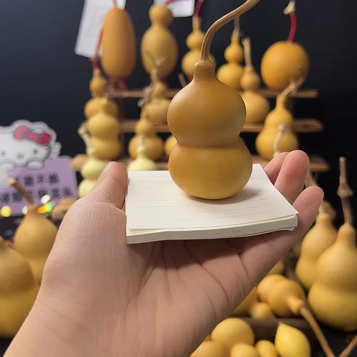 不退不换，没有运费险，退自费运费