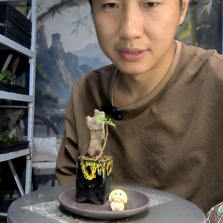 乔中青园艺一物一拍423