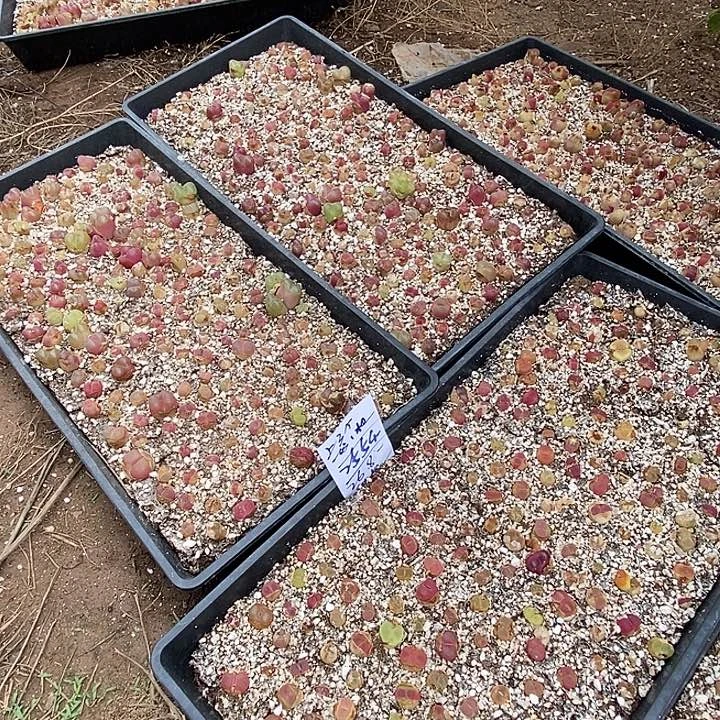 2554一筐  带框发  无售后